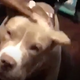 Tfw you are being held hostage by Boogotti Kasino